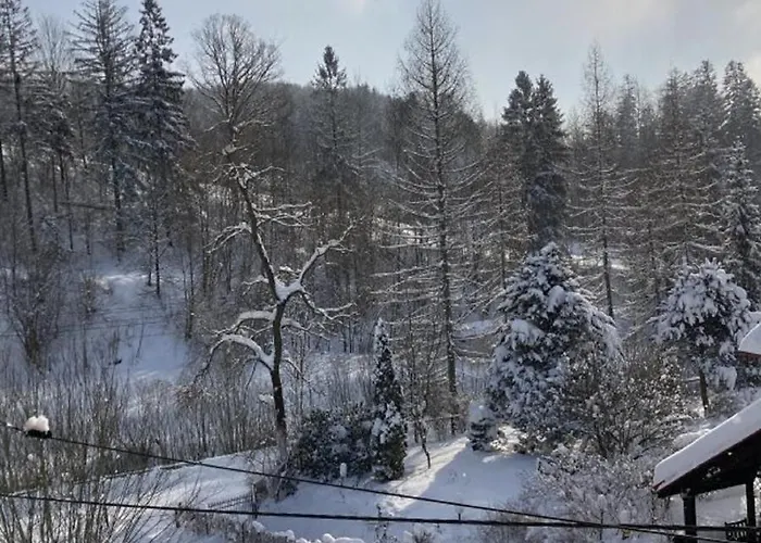 Cud Miod Διαμέρισμα *